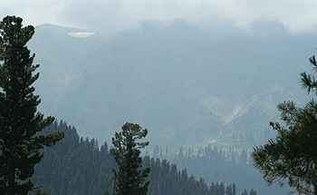 Hotel Zahgeer Continental Gulmarg Kültér fotó